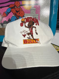 VTG Jordan Bulls Hat