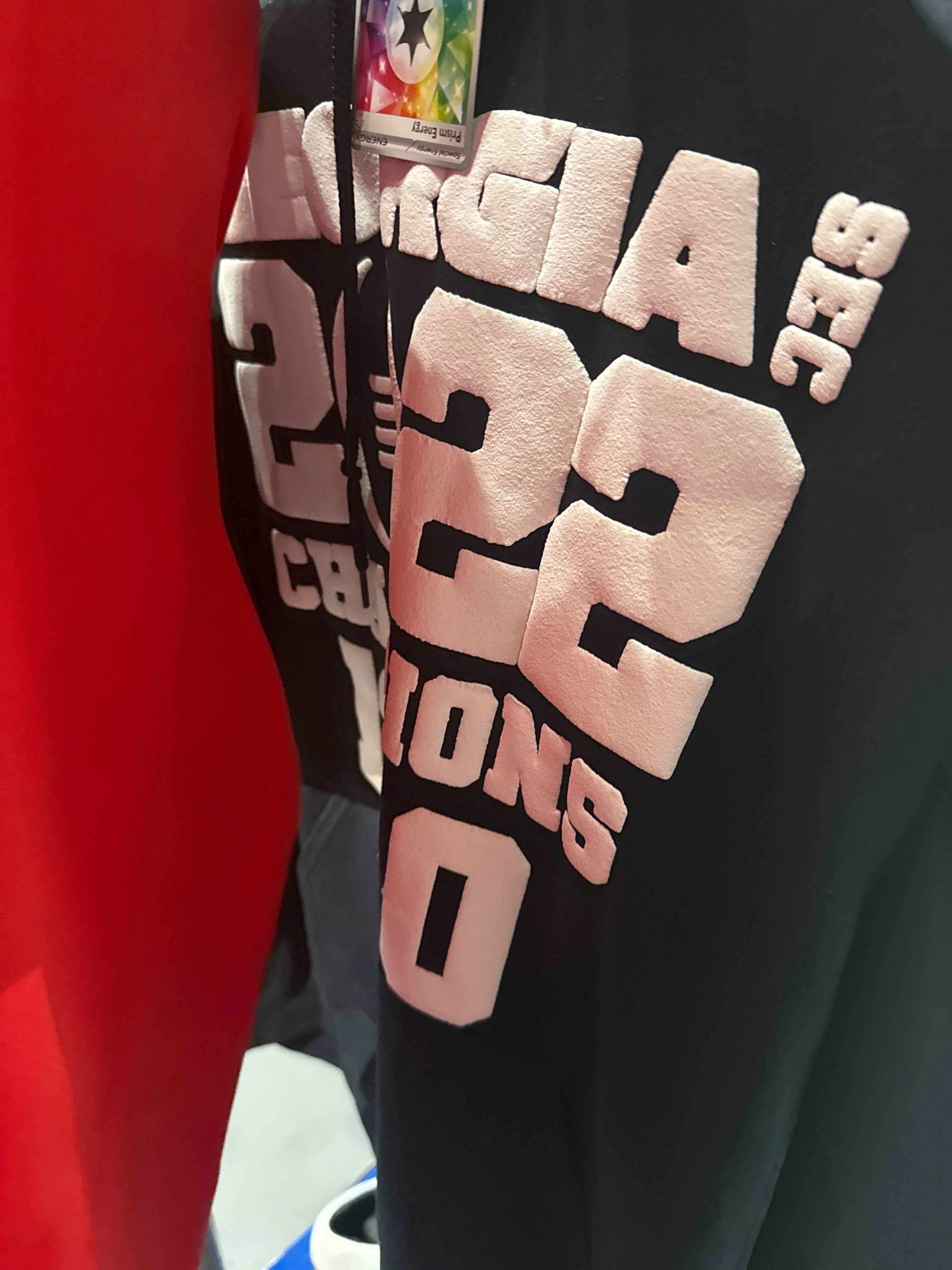 UGA 2022 Natl Champs Hoodie XL
