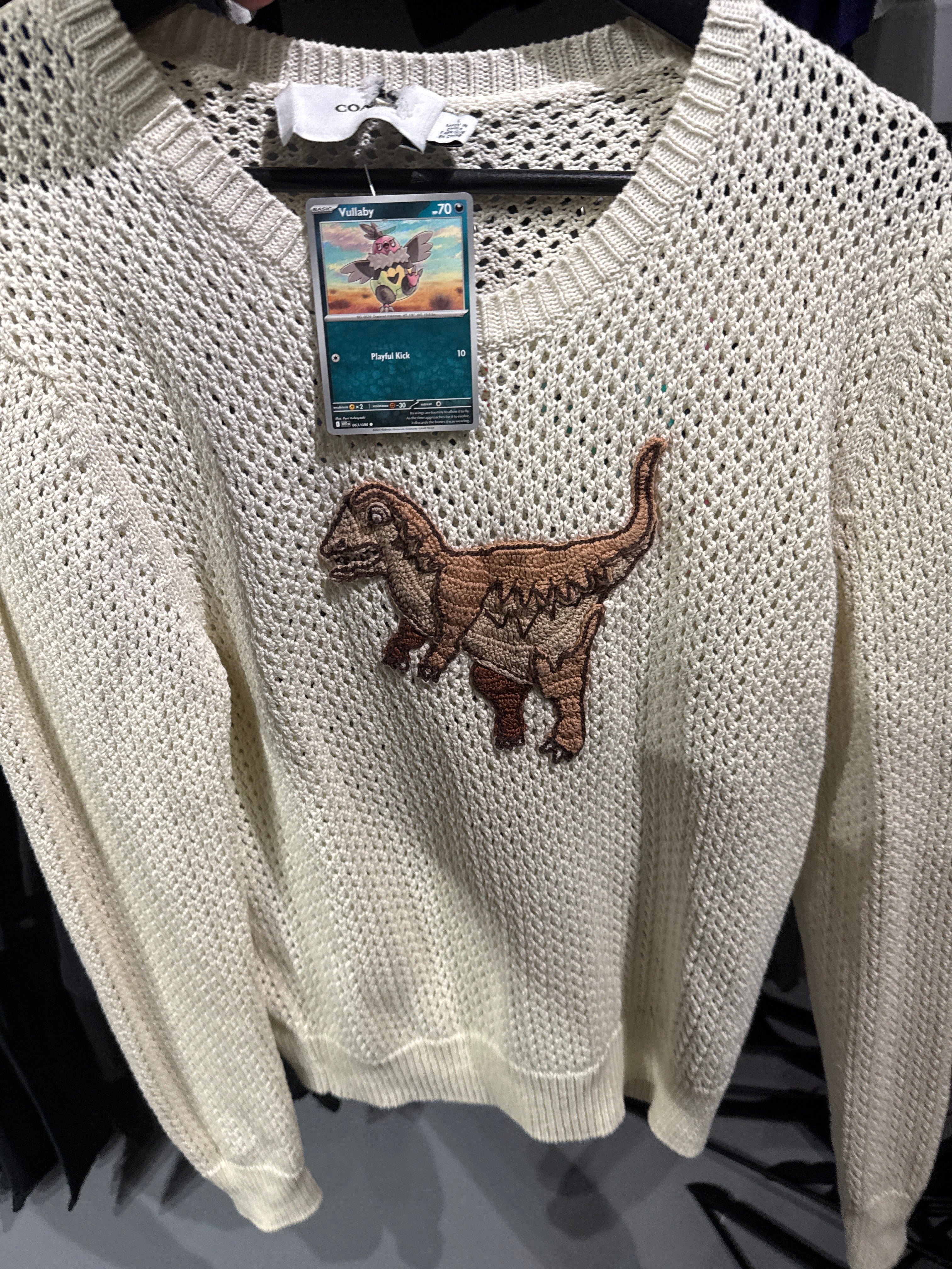 Coach Dino Knit L