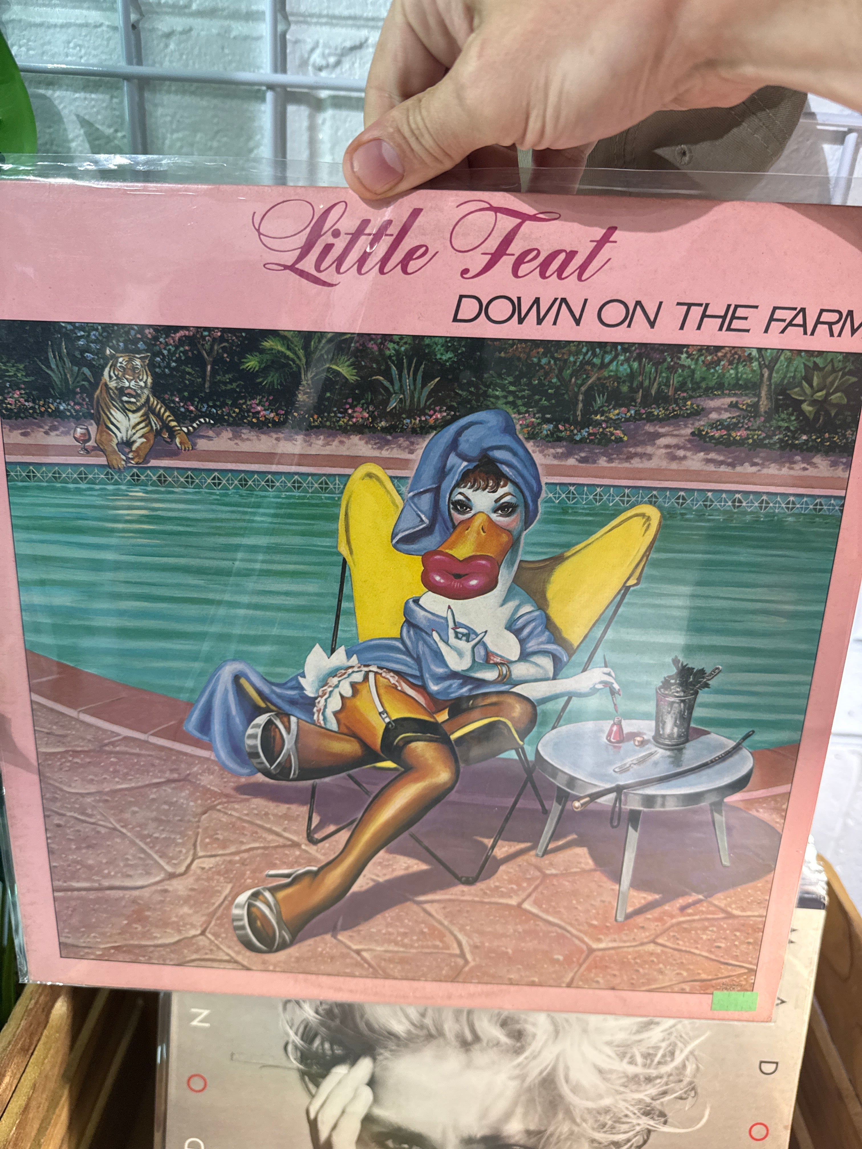 Little Feat Down The Farm