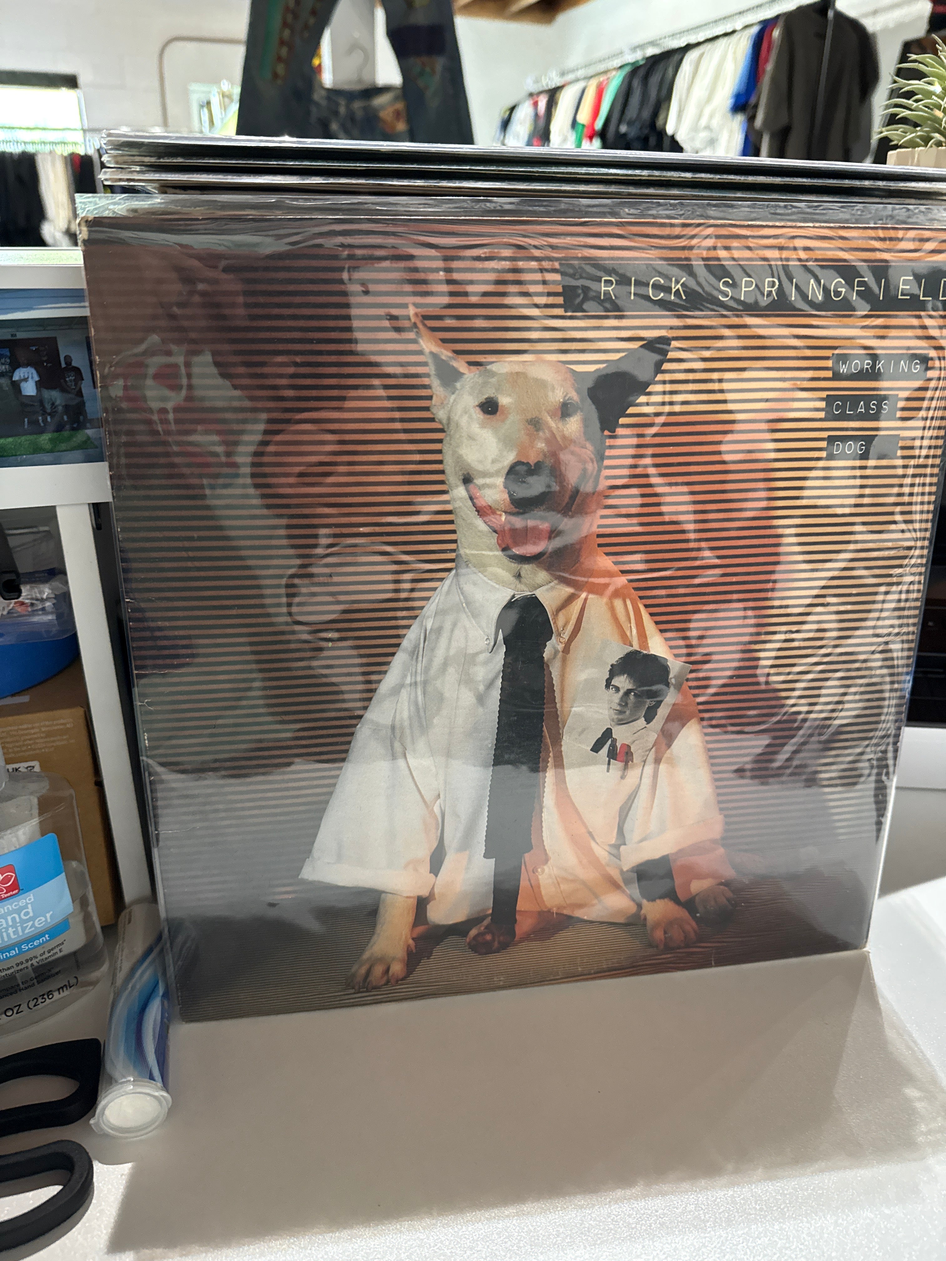 Rick Springfield Working LP