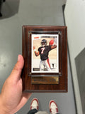 Mike Vick